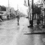 雨の富士見通り　1960(昭和35)年頃（写真：くにたち郷土文化館蔵）